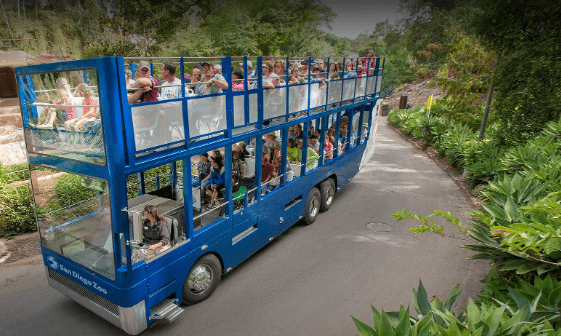 nveiling the Stories of History and Faith on Bus Tours
